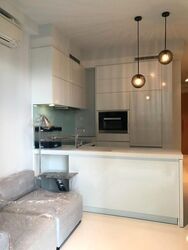 Onze @ Tanjong Pagar (D2), Apartment #481663321
